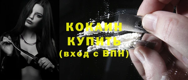 соль ск Михайлов