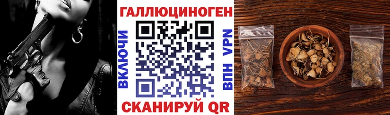 где купить Набережные Челны Псилоцибиновые грибы GOLDEN TEACHER