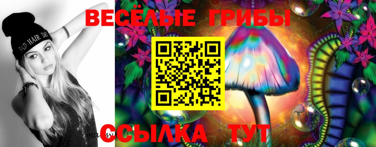 Галлюциногенные грибы Psilocybe Набережные Челны